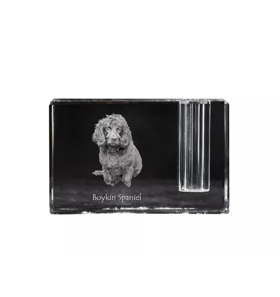 Boykin Spaniel, Swamp Poodle - Pen stand, crystal organiser with dog photo, unique desk decoration by Art-Dog brand