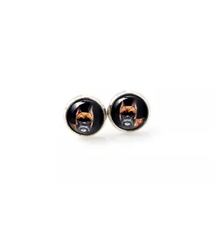 Boxer, German Boxer III - earrings your photo handmade, own photo, jewelry from the Art.-Dog brand