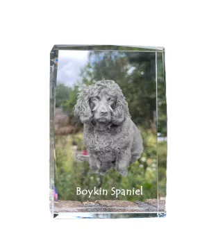 Boykin Spaniel - Kristall mit einem Hundebild, Bild im Glas, moderne Ausstellung des Art-Dog-Bildes.