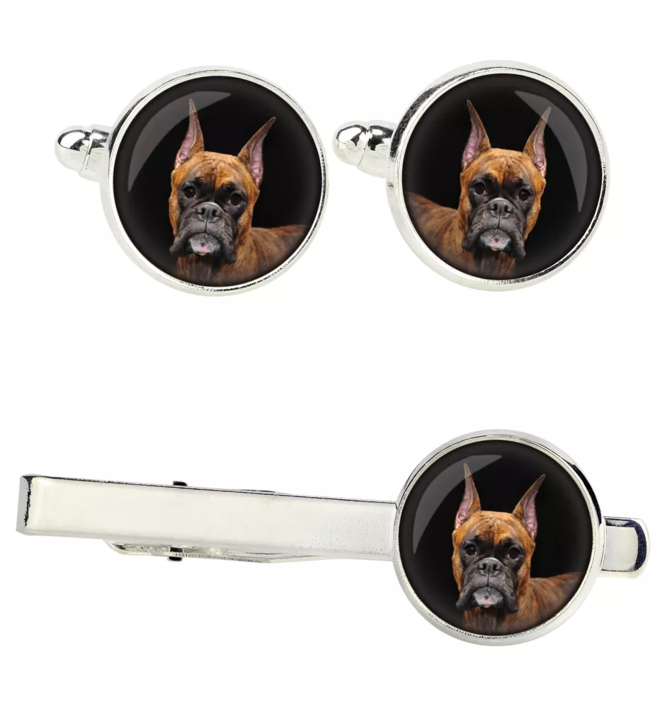 Bokser zestaw spinek w pudełku ze zdjęciem Art-Dog