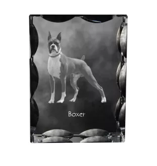 Boxer, German Boxer III - crystal with a picture of a dog, glass statuette with a picture, unique frame with a picture from Art-Dog brand
