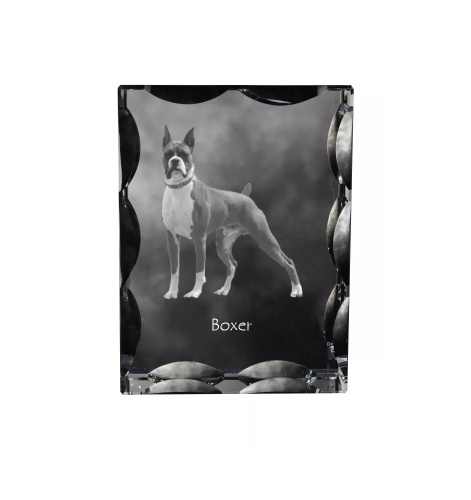 Boxer, German Boxer III - crystal with a picture of a dog, glass statuette with a picture, unique frame with a picture from Art-Dog brand