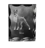 Boxer III - cristal avec photo de chien, statuette en verre avec photo, cadre exceptionnel avec photo de la marque Art-Dog