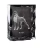 Boxer, German Boxer III - crystal with a picture of a dog, glass statuette with a picture, unique frame with a picture from Art-Dog brand