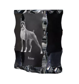 Boxer, German Boxer III - crystal with a picture of a dog, glass statuette with a picture, unique frame with a picture from Art-Dog brand