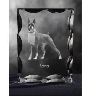 Boxer III - cristal avec photo de chien, statuette en verre avec photo, cadre exceptionnel avec photo de la marque Art-Dog