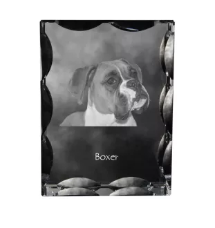 Boxer, Deutscher Boxer I - Kristall mit einem Hundebild, Glasstatuette mit einem Bild, einzigartiger Bilderrahmen der Marke Art-Dog