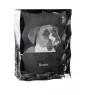Boxer, German Boxer I - crystal with a picture of a dog, glass statuette with a picture, unique frame with a picture from Art-Dog brand