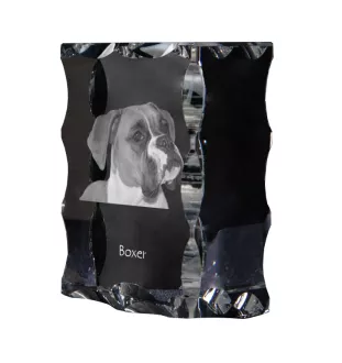 Boxer I - cristal avec photo de chien, statuette en verre avec photo, cadre exceptionnel avec photo de la marque Art-Dog