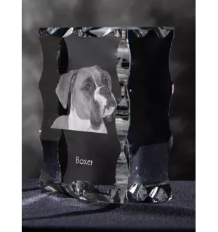 Boxer, German Boxer I - crystal with a picture of a dog, glass statuette with a picture, unique frame with a picture from Art-Dog brand