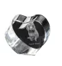 Boykin Spaniel, Swamp Poodle - a photo of a dog in crystal, crystal heart, unique photo frame from the Art-Dog brand