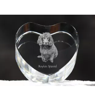 Boykin Spaniel, Swamp Poodle - a photo of a dog in crystal, crystal heart, unique photo frame from the Art-Dog brand