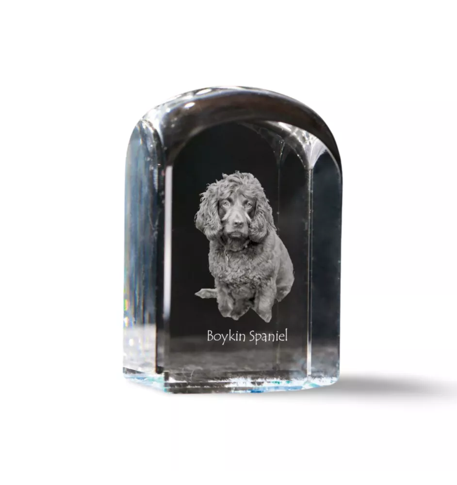 Boykin Spaniel, Swamp Poodle - crystal cube with a photo, photo of a dog in crystal, cubic paperweight from Art-Dog brand
