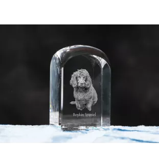 Boykin Spaniel, Swamp Poodle - crystal cube with a photo, photo of a dog in crystal, cubic paperweight from Art-Dog brand