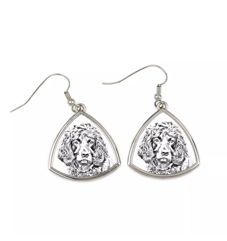 Boykin Spaniel - boucles d'oreilles avec chien, boucles d'oreilles pendantes avec photo, bijoux personnalisés avec impression de la marque Art-Dog