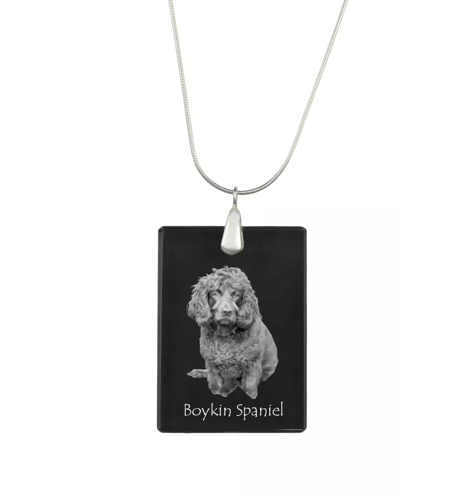 Boykin Spaniel, Swamp Poodle - Crystal pendant with dog, silver necklace with photo, personalised pendant by Art-Dog brand