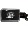Boxer I - Porte-clés en cristal avec photo de chien, porte-clés lumineux, cadeau unique de la marque Art-Dog