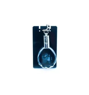 Boxer I - pendentif avec une photo de chien, porte-clés en cristal dans une boîte cadeau, un cadeau unique par Art-Dog