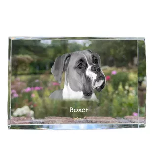 Boxer III - cristal avec une photo de chien, photo sous verre, exposition moderne de la marque de photos Art-Dog