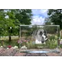 Boxer III - cristal avec une photo de chien, photo sous verre, exposition moderne de la marque de photos Art-Dog