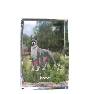 Boxer I - cristal avec une photo de chien, photo sous verre, exposition moderne de la marque de photos Art-Dog