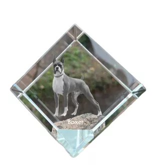 Boxer III - un cube de cristal avec une photo, une photo de cheval dans le cristal, un presse-papiers cubique de la marque Art-Dog
