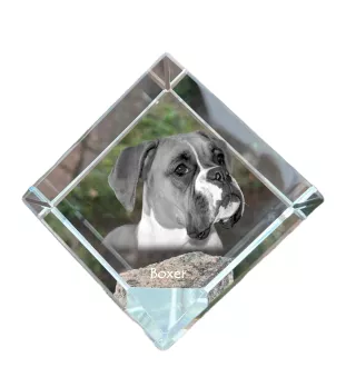 Boxer, Deutscher Boxer I - Kristallwürfel mit Bild, Pferdebild im Kristall, sechseckiger Papierclip der Marke Art-Dog