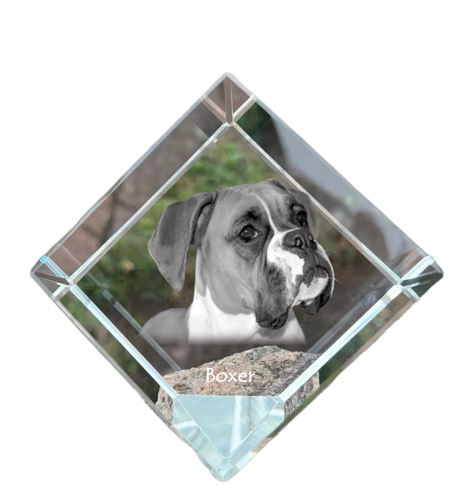 Boxer, Deutscher Boxer I - Kristallwürfel mit Bild, Pferdebild im Kristall, sechseckiger Papierclip der Marke Art-Dog