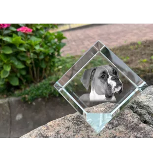 Boxer, German Boxer I - crystal cube with a photo, photo of a horse in crystal, cubic paperweight from Art-Dog brand