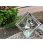 Boxer, German Boxer I - crystal cube with a photo, photo of a horse in crystal, cubic paperweight from Art-Dog brand