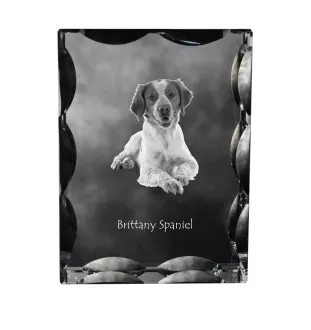 Bretonischer Spaniel, Bretonischer Vorstehhund, Brittany - Kristall mit einem Hundebild, Glasstatuette mit einem Bild, einzigartiger Bilderrahmen der Marke Art-Dog