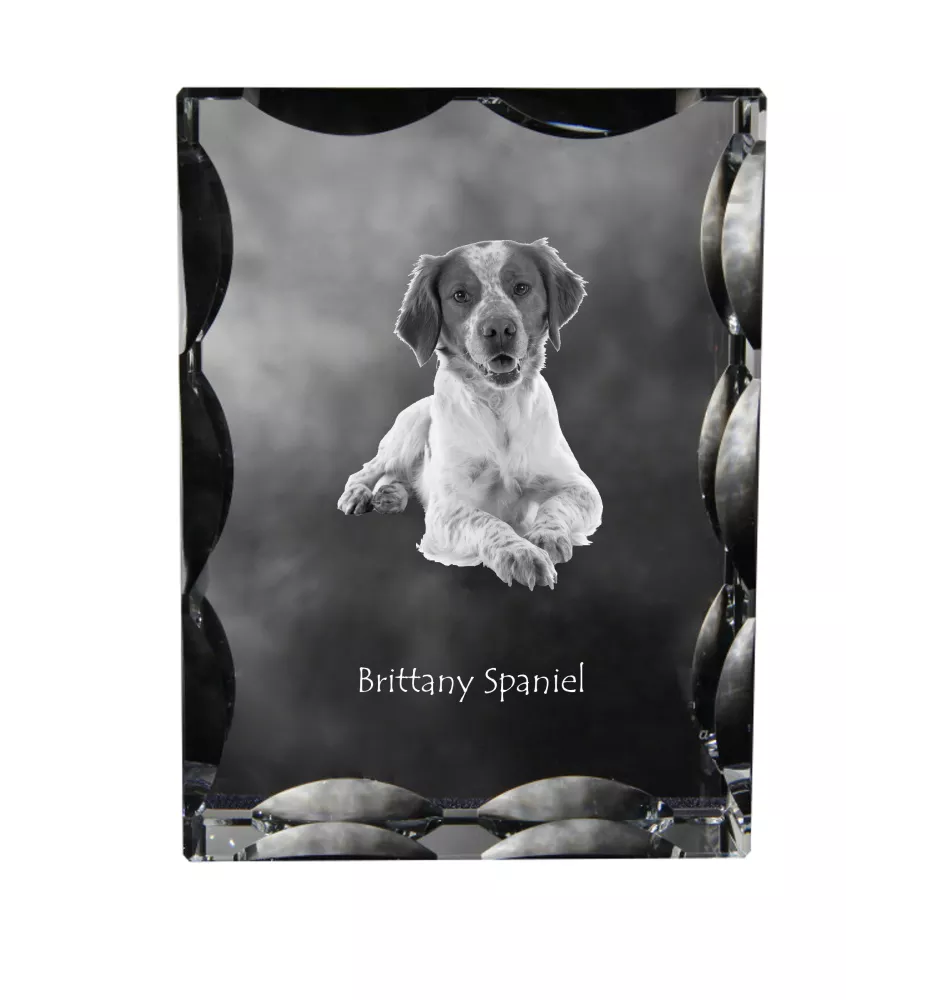 Bretonischer Spaniel, Bretonischer Vorstehhund, Brittany - Kristall mit einem Hundebild, Glasstatuette mit einem Bild, einzigartiger Bilderrahmen der Marke Art-Dog