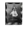 Epagneul Breton - cristal avec photo de chien, statuette en verre avec photo, cadre exceptionnel avec photo de la marque Art-Dog