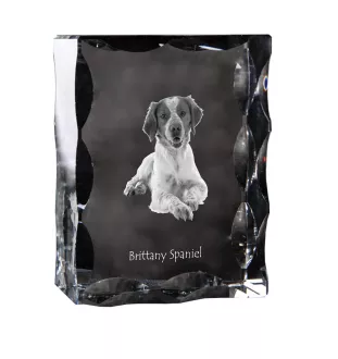 Epagneul Breton - cristal avec photo de chien, statuette en verre avec photo, cadre exceptionnel avec photo de la marque Art-Dog