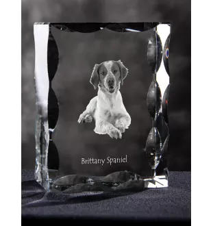 Bretonischer Spaniel, Bretonischer Vorstehhund, Brittany - Kristall mit einem Hundebild, Glasstatuette mit einem Bild, einzigartiger Bilderrahmen der Marke Art-Dog