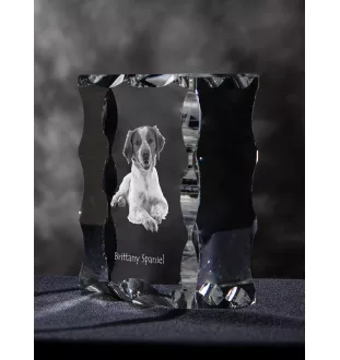 Bretonischer Spaniel, Bretonischer Vorstehhund, Brittany - Kristall mit einem Hundebild, Glasstatuette mit einem Bild, einzigartiger Bilderrahmen der Marke Art-Dog