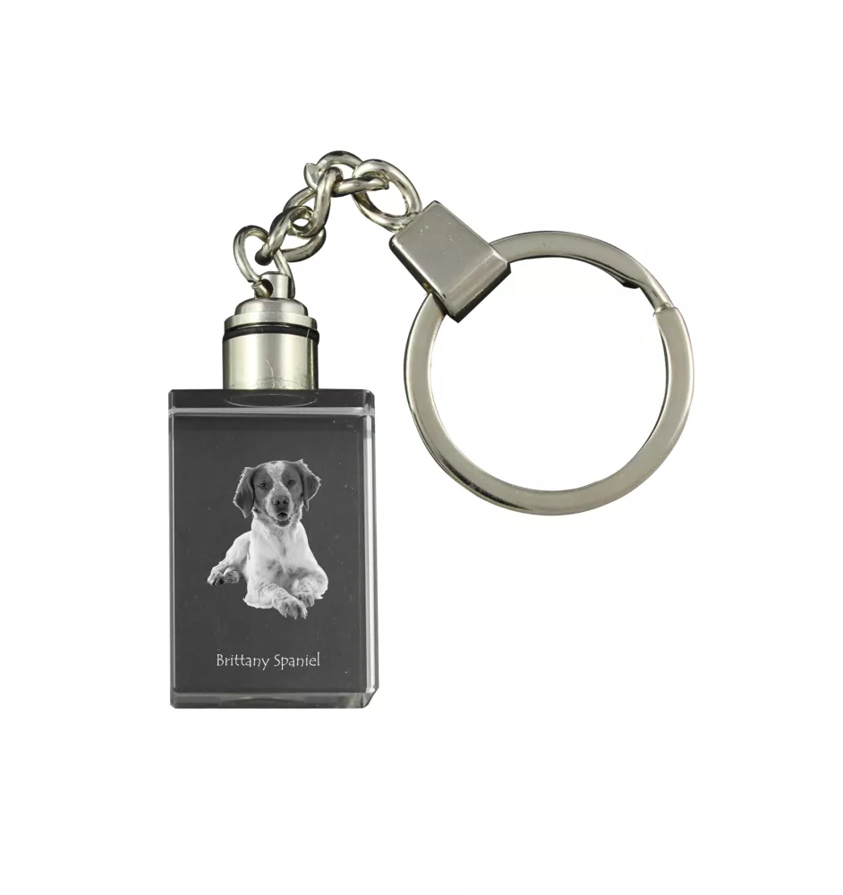 Bretonischer Spaniel, Bretonischer Vorstehhund, Brittany - Schlüsselanhänger aus Kristall mit Hundefoto, beleuchteter Schlüsselanhänger, einzigartiges Geschenk der Marke Art-Dog