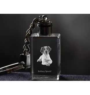 Brittany Spaniel, Brittany Wiegref - Crystal key ring with dog photo, illuminated key ring, unique gift by Art-Dog brand