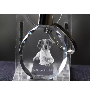 Epagneul Breton - pendentif avec une photo de chien, porte-clés en cristal dans une boîte cadeau, un cadeau unique par Art-Dog