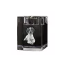 Bretonischer Spaniel, Bretonischer Vorstehhund, Brittany - Kerzenhalter mit Hundefoto, Teelichthalter aus Kristall, personalisiertes Geschenk der Marke Art-Dog
