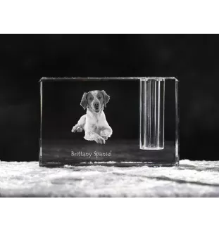 Brittany Spaniel, Brittany Wiegref - Pen stand, crystal organiser with dog photo, unique desk decoration by Art-Dog brand