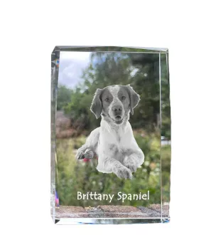 Epagneul Breton - cristal avec une photo de chien, photo sous verre, exposition moderne de la marque de photos Art-Dog