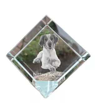 Epagneul Breton - un cube de cristal avec une photo, une photo de cheval dans le cristal, un presse-papiers cubique de la marque Art-Dog
