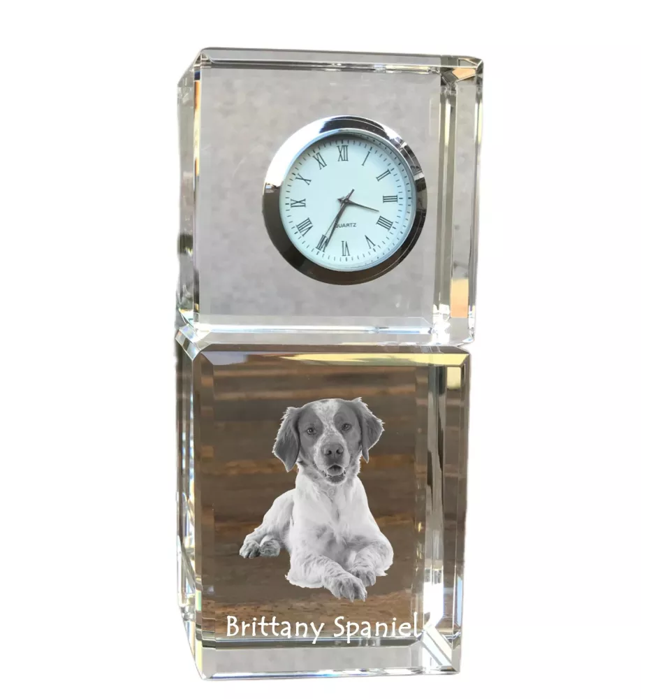 Bretonischer Spaniel, Bretonischer Vorstehhund, Brittany - Kristalluhr mit Foto, Hundebild im Kristall, personalisierte Schreibtischuhr von Art-Dog.