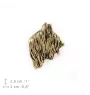 Berger de Brie, Briard - Broche de chien dans une boîte décorative, épingle élégante en plaqué or, épingle de veste de la marque Art-Dog