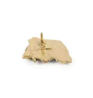 Briard, Berger de Brie - gold-plated pin brooch, elegant dog ornament, unique pin by Art-Dog brand