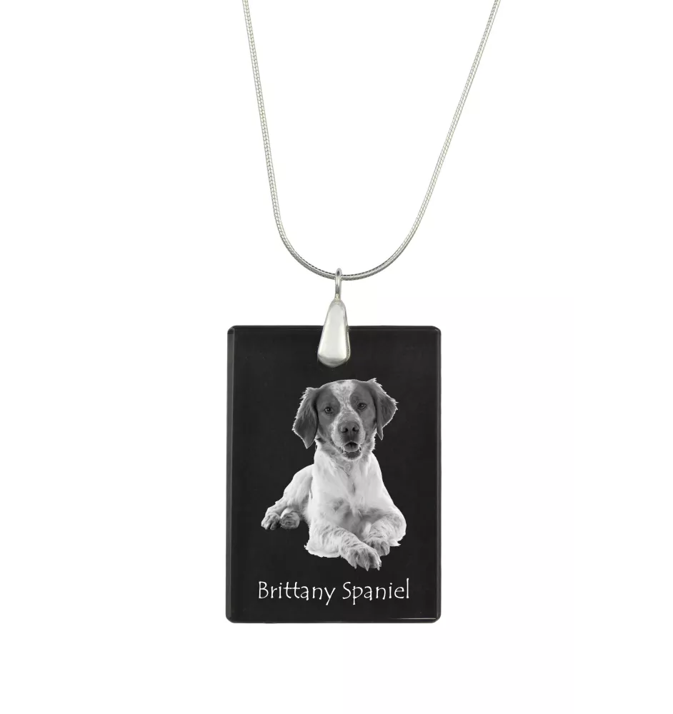 Epagneul Breton - Pendentif en cristal avec chien, collier en argent avec photo, pendentif personnalisé par la marque Art-Dog