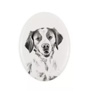 Brittany Spaniel płyta nagrobna ze zdjęciem psa Art-Dog