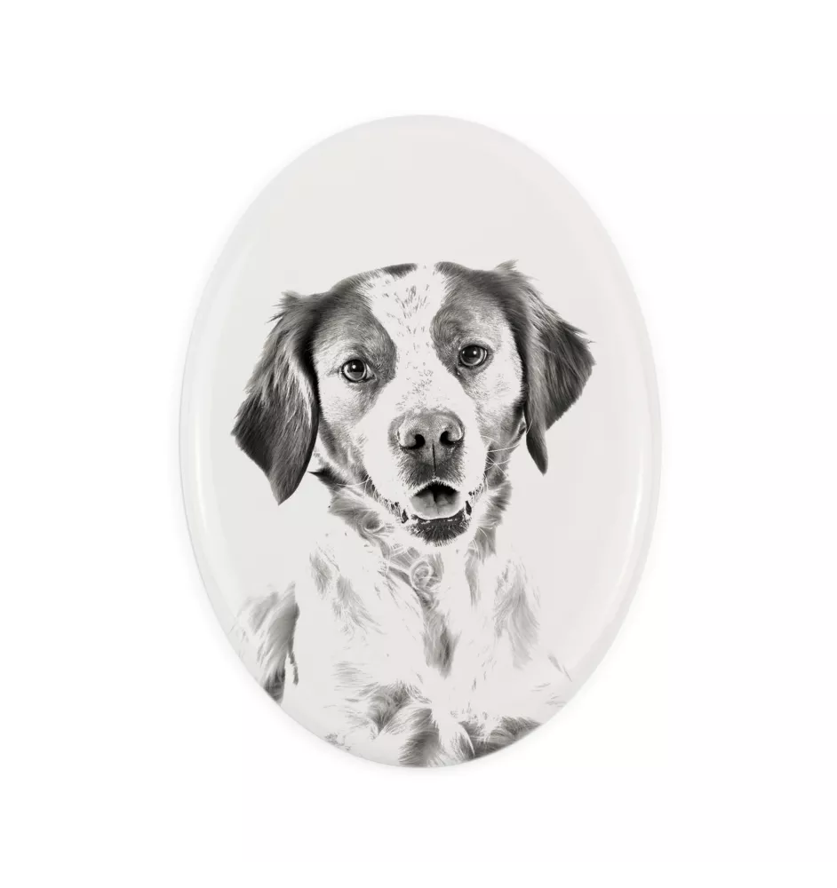 Bretonischer Spaniel, Bretonischer Vorstehhund, Brittany - Gedenktafel mit einem Foto eines Hundes, Grabplatte mit Druck, personalisierte ovale Platte der Marke Art-Dog