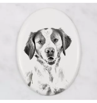 Epagneul Breton - une plaque commémorative avec une photo de chien, une plaque funéraire avec une impression, une plaque ovale personnalisée de la marque Art-Dog